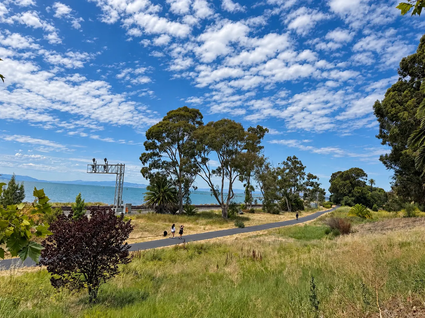 A paved coastal trail curving past grasses and trees toward the bay under a wide cloudy sky